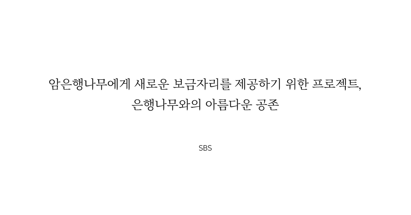 암은행나무에게 새로운 보금자리를 제공하기 위한 프로젝트,
												은행나무와의 아름다운 공존 SBS